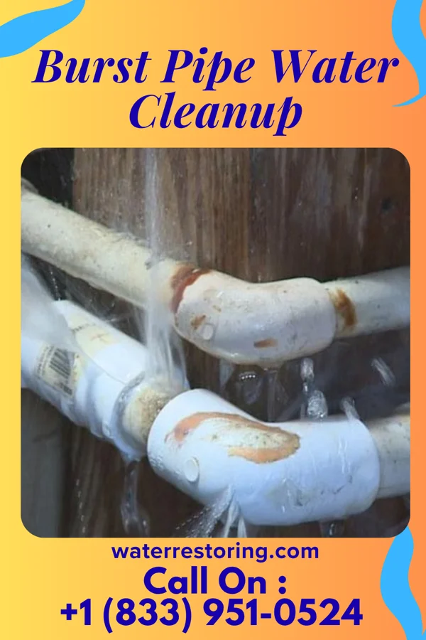 Burst Pipe Water Cleanup in Bluffton, OH
