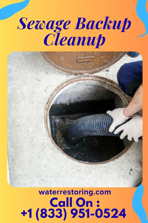 Sewage Backup Cleanup in Bluffton, OH