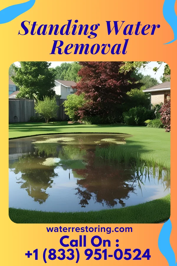 Standing Water Removal in Bluffton, OH